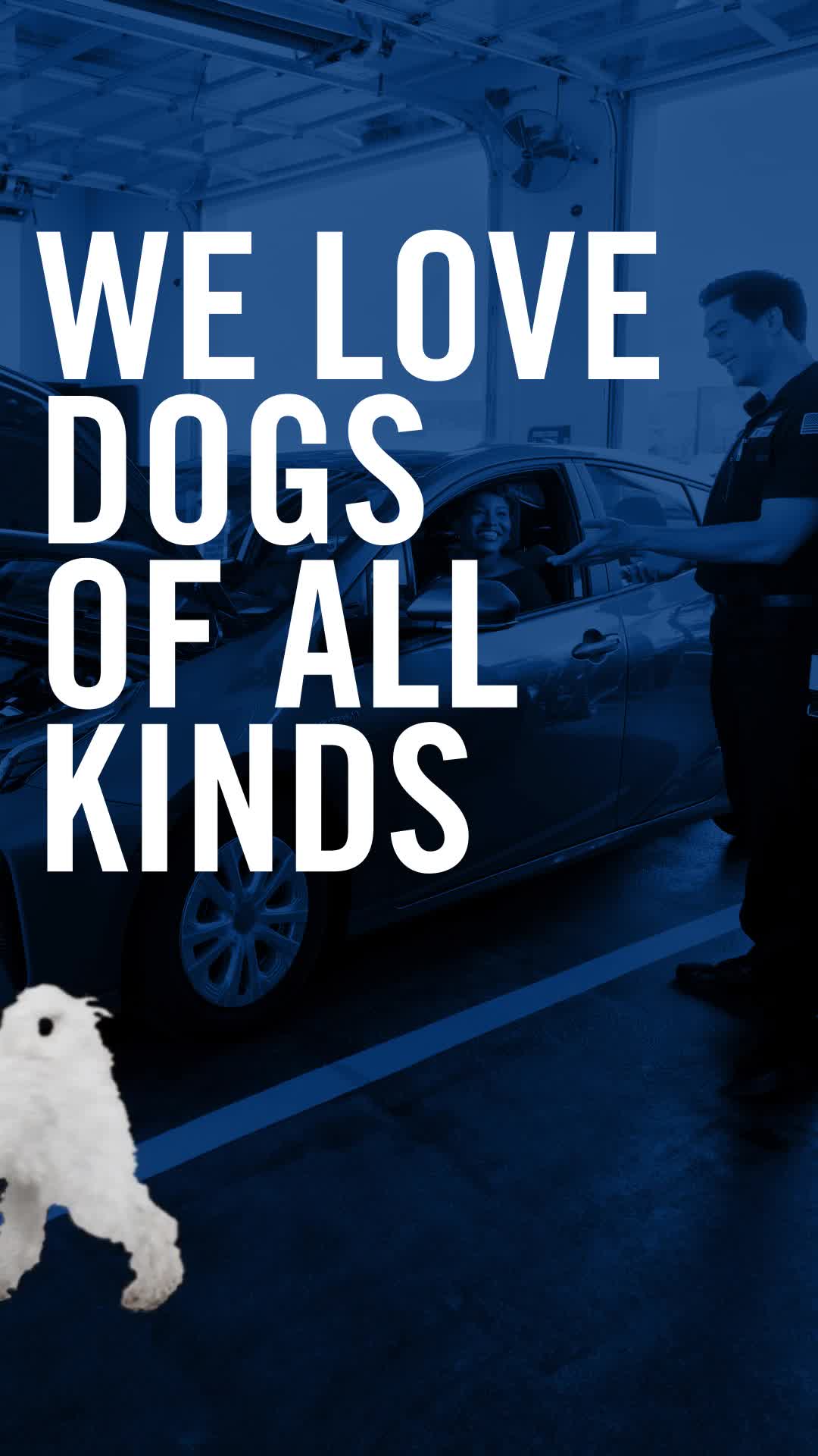 Valvoline — Social Spot 07